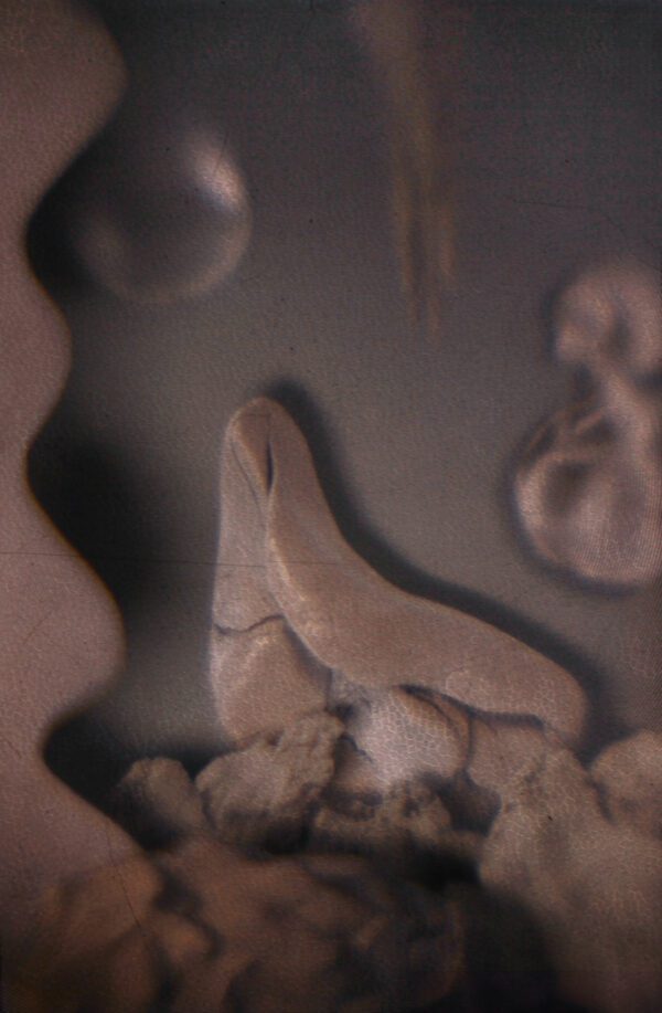 Atelier de fabrication d’une camera obscura numérique avec Renée Forest